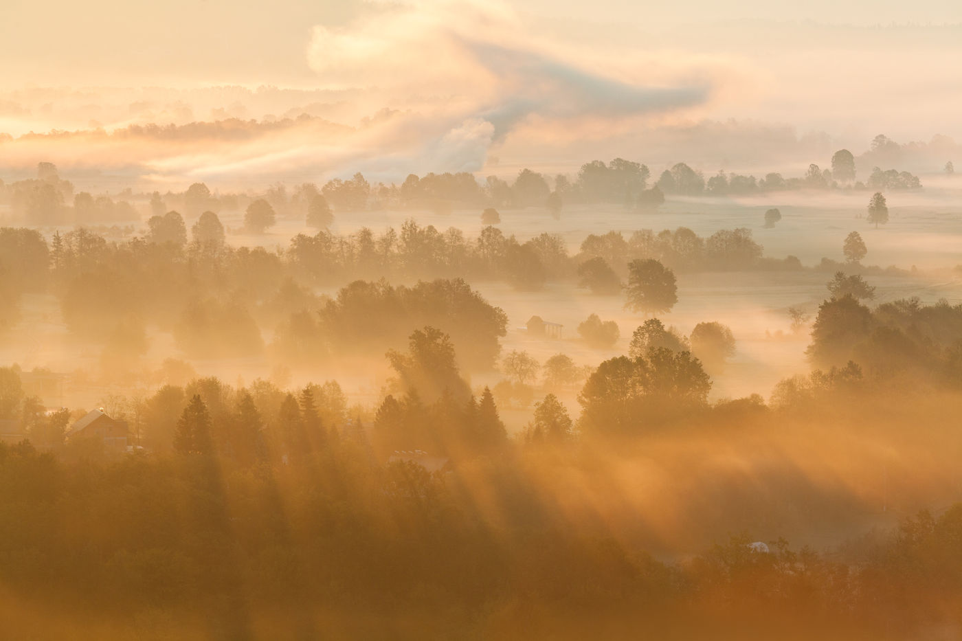 Zonneharpen op een mistige ochtend. © Bart Heirweg