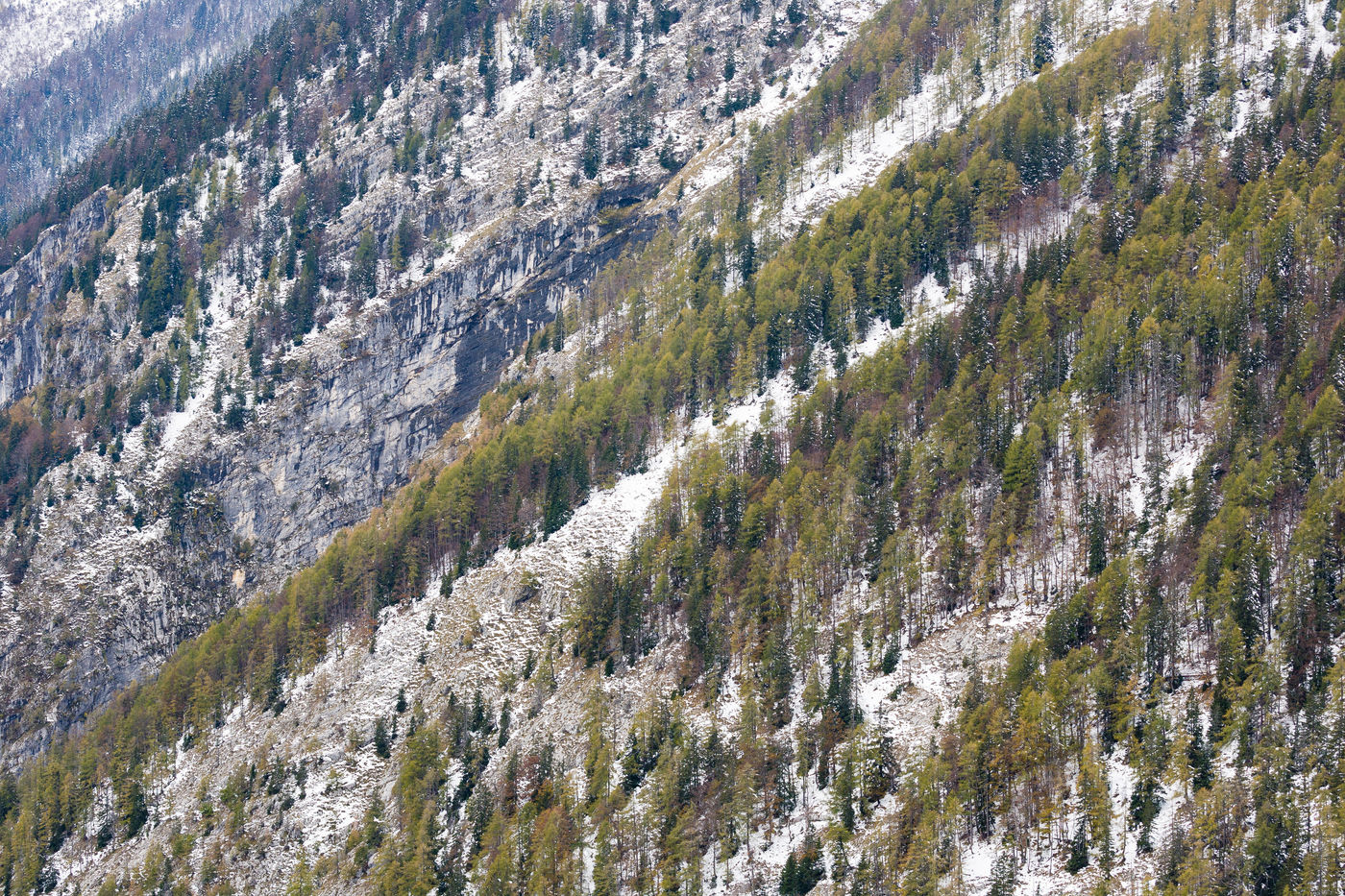 De eerste sneeuwval op een berghelling in Slovenië. © Bart Heirweg