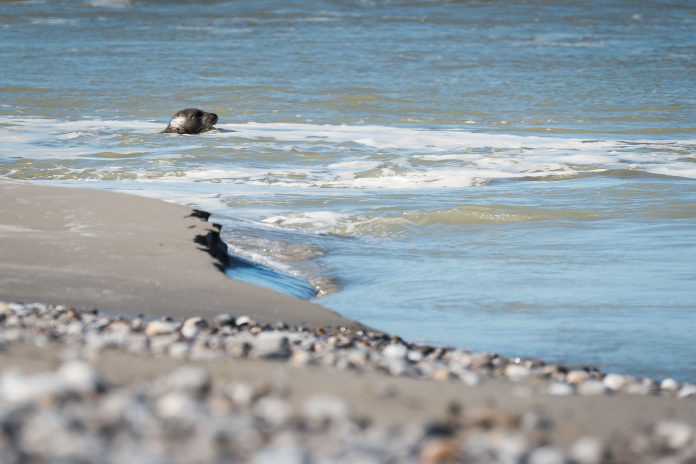 De getijdenwerking in beeld gebracht. © Sandy Spaenhoven