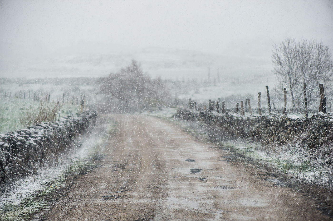 Plots slaat het weer om en krijgen we te maken met een sneeuwbui! © Billy Herman