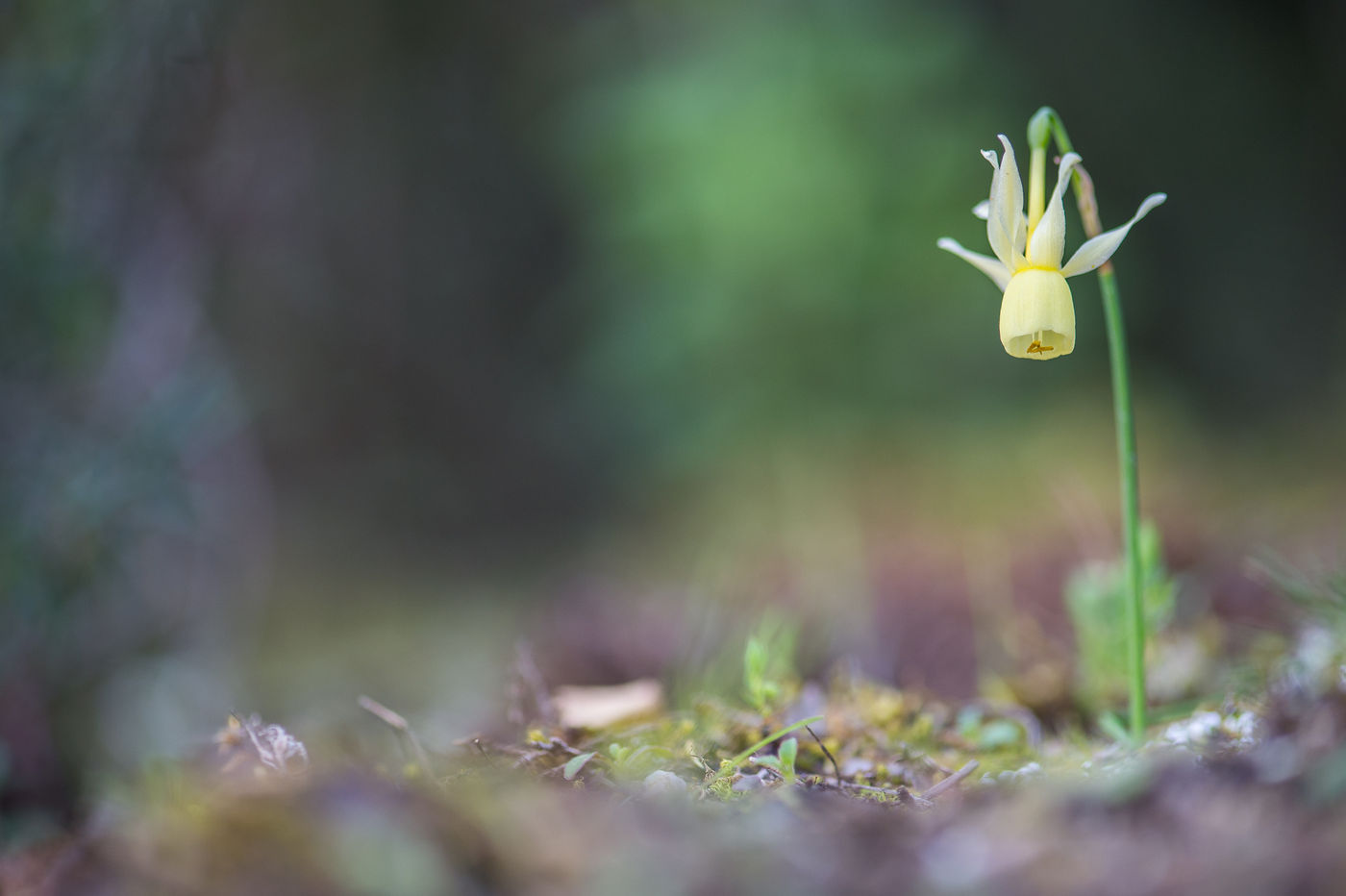 Nous gardons un oeil attentif aux fleurs qui croisent notre route © Billy Herman