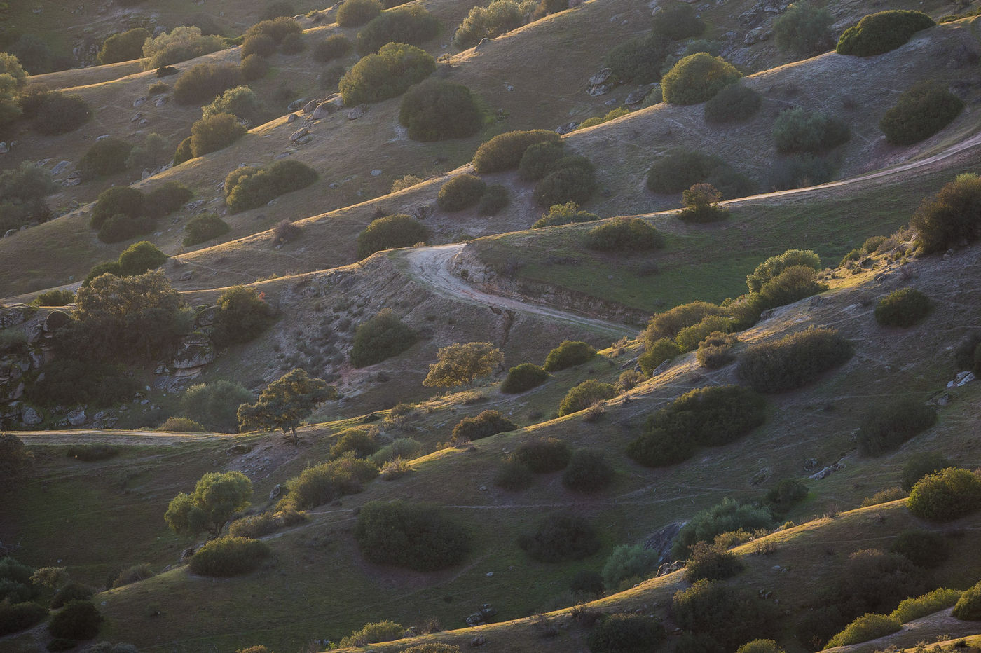 Sierra tijdens de zonsondergang. © Billy Herman