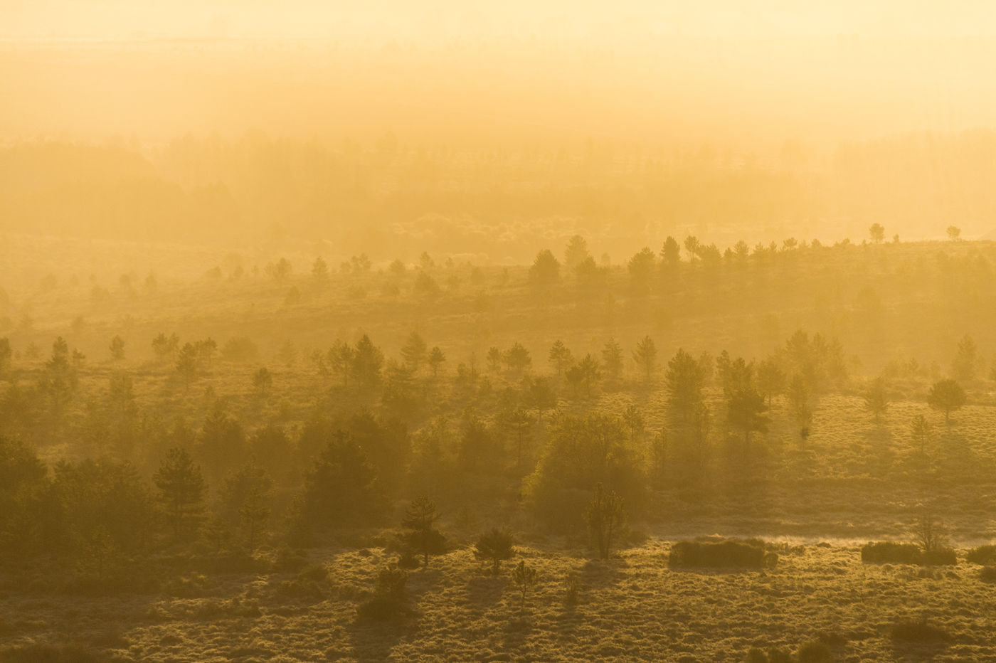 Zonsopgang in het noorden van het land. © Billy Herman