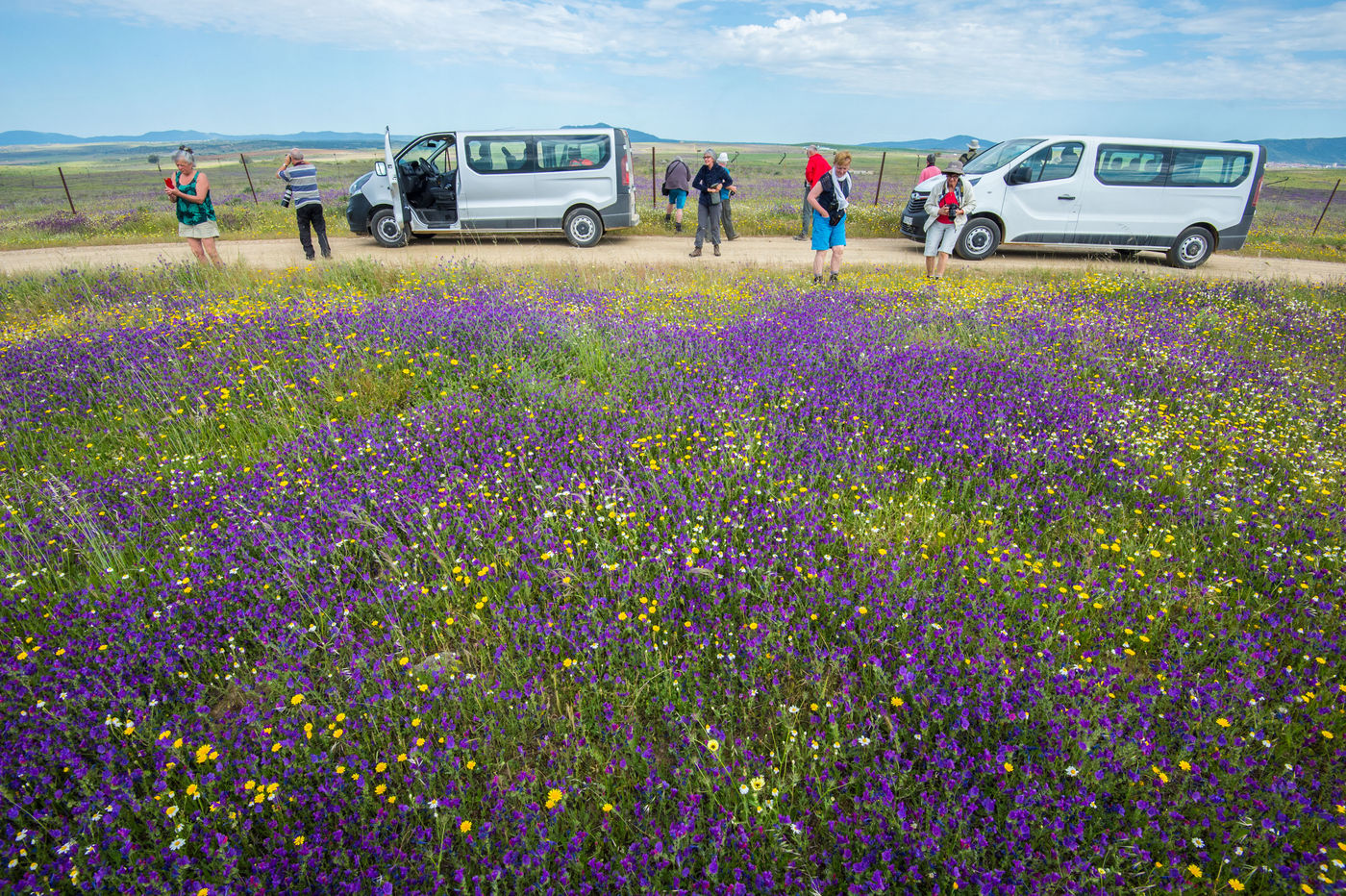 Met twee comfortabele minibusjes word je rondgeleid door de vlakten. © Billy Herman