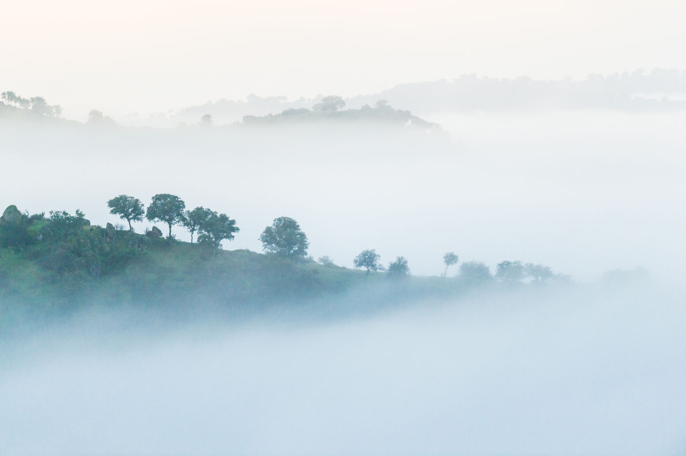 De mist maakt het zoeken niet altijd even gemakkelijk. © Billy Herman