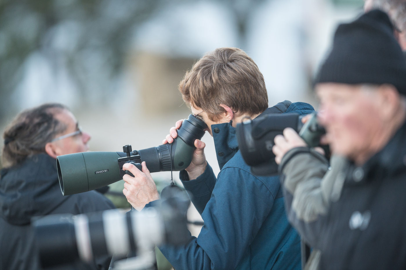 SpanjeBillyHerman (6 van 24) Er wordt doorgezocht... © Billy Herman
