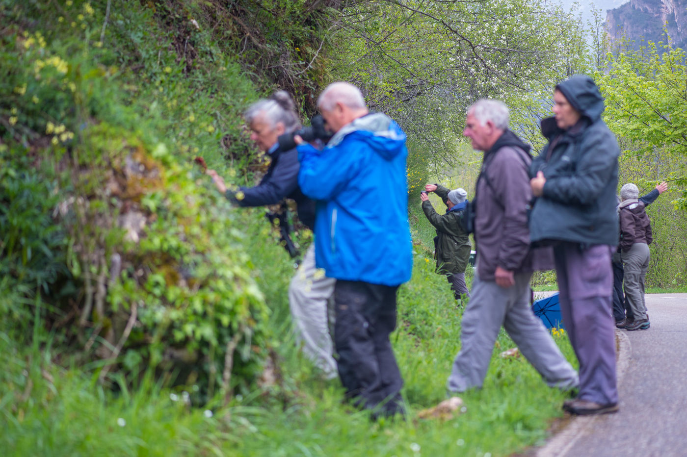 Samen met de groep verkennen we een wegberm. © Billy Herman