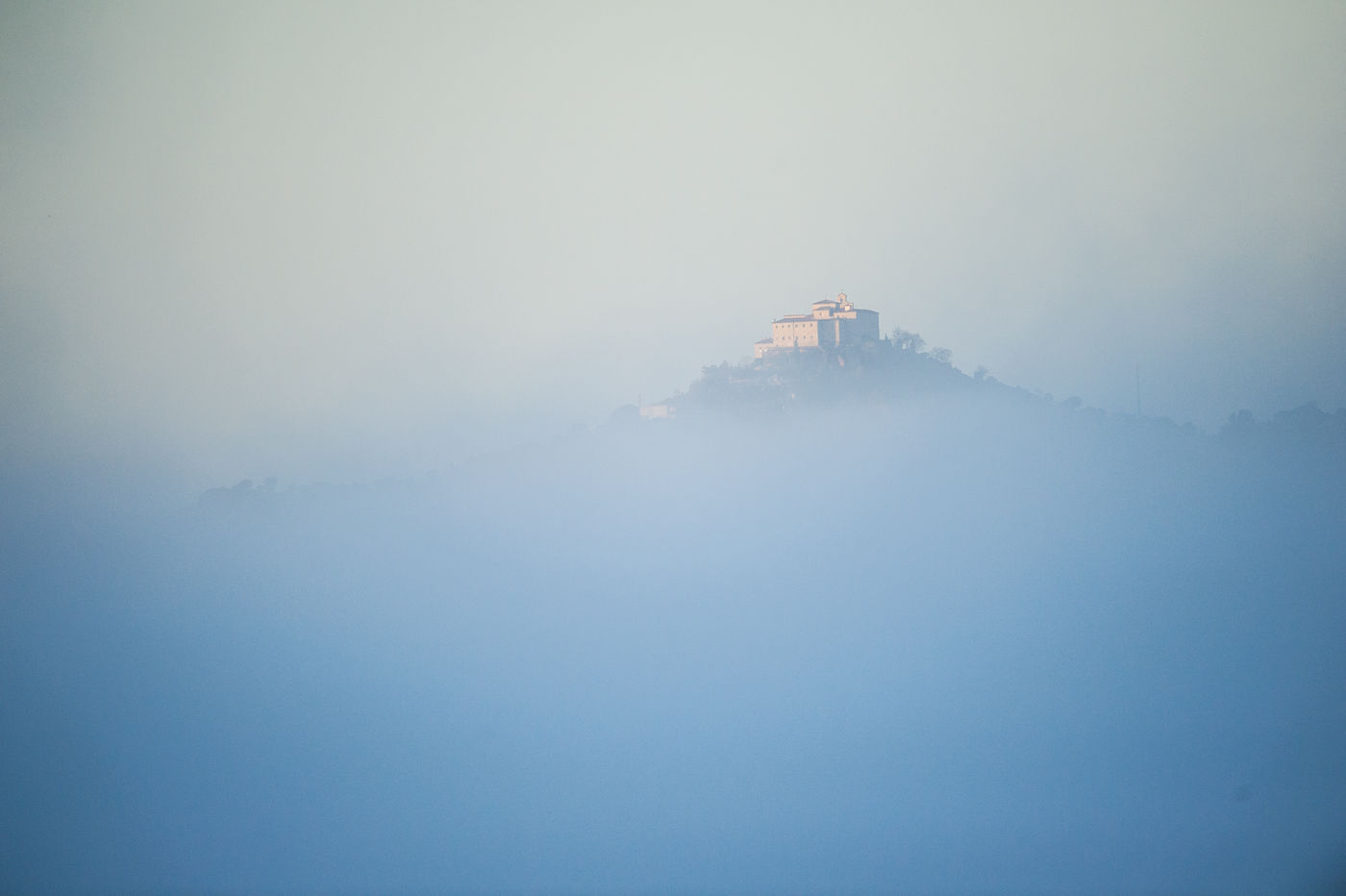 Perché dans le brouillard © Billy Herman