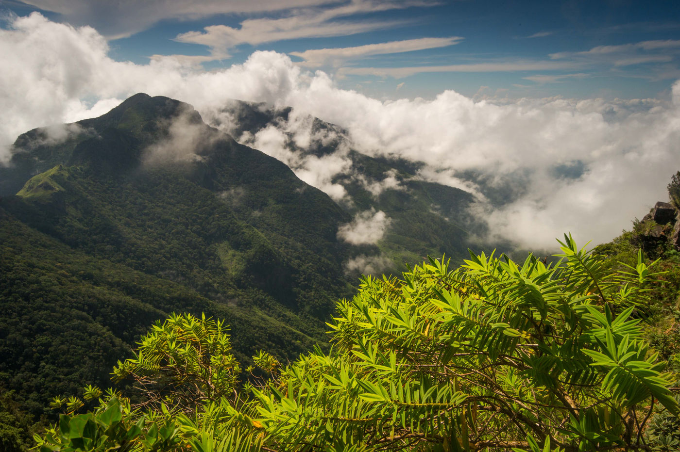 De wolken worden gevormd boven het regenwoud van Sri Lanka. © Billy Herman