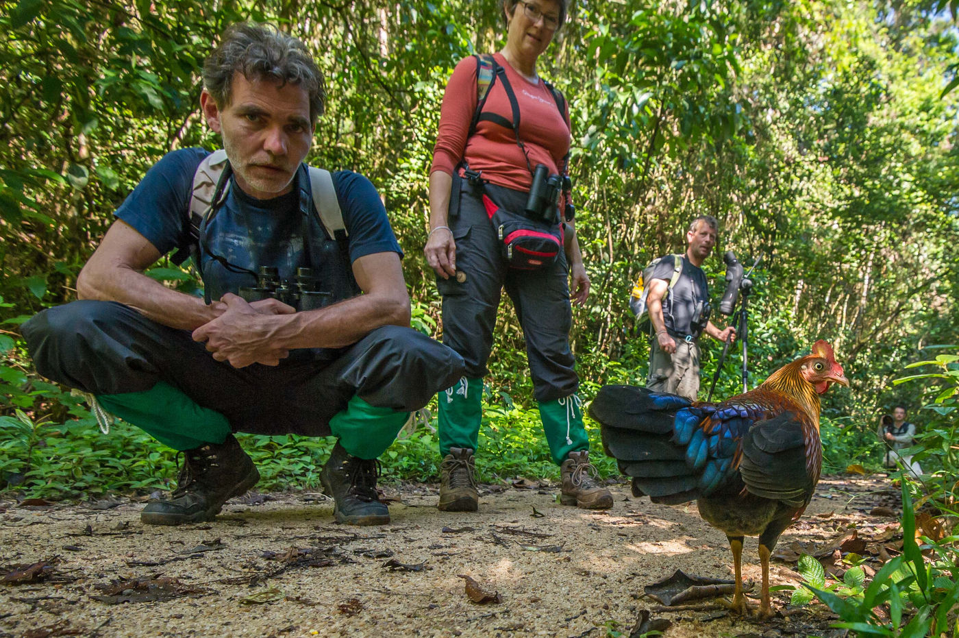 Even poseren met Sri Lanka junglefowl, letterlijk een endemische kip. © Billy Herman