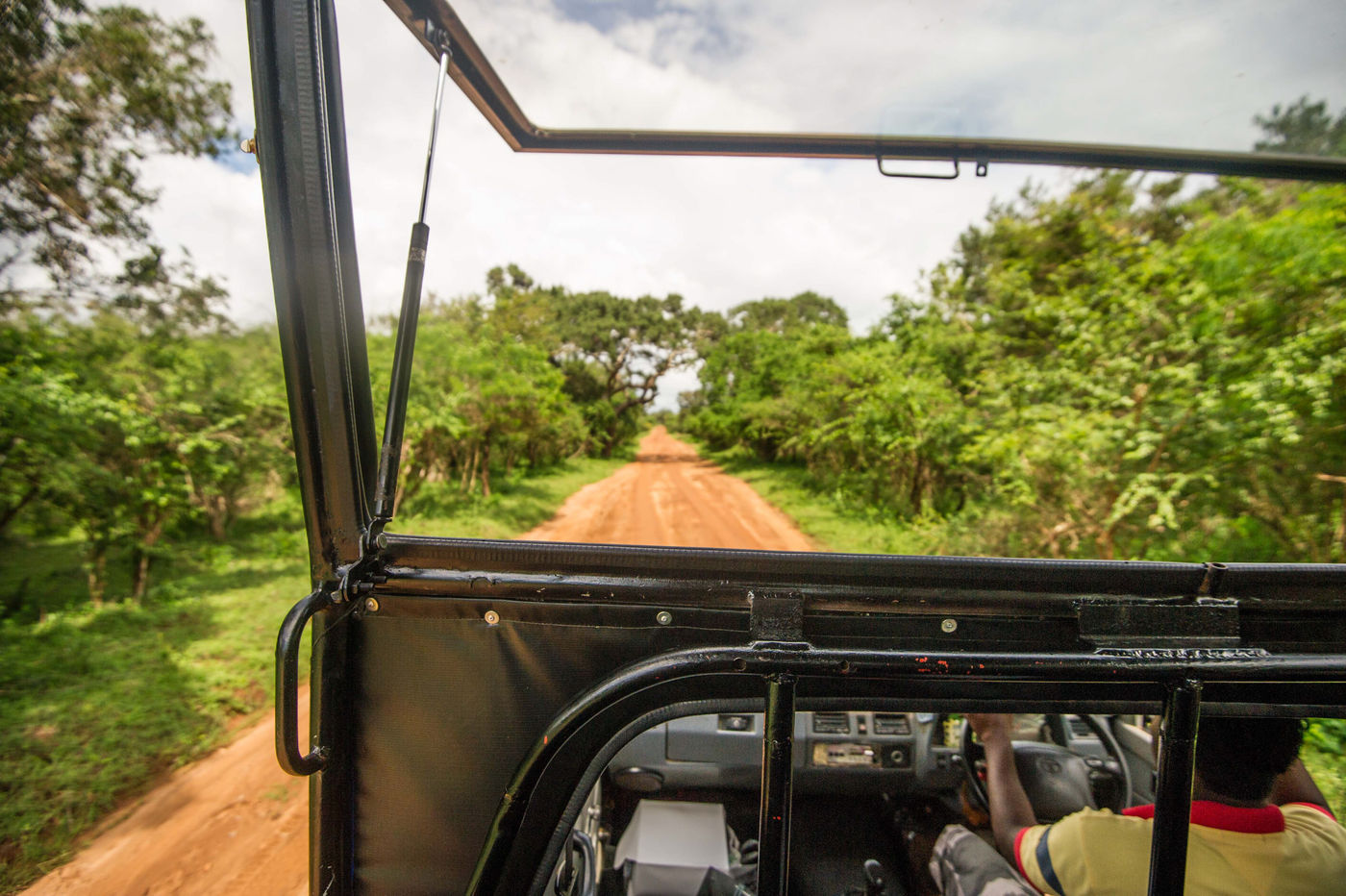 Op safari door de secundaire bossen. © Billy Herman