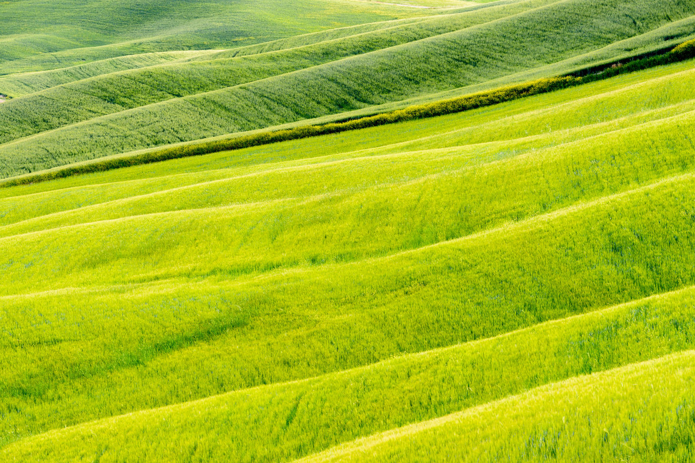 Groene glooiingen. © Bart Heirweg