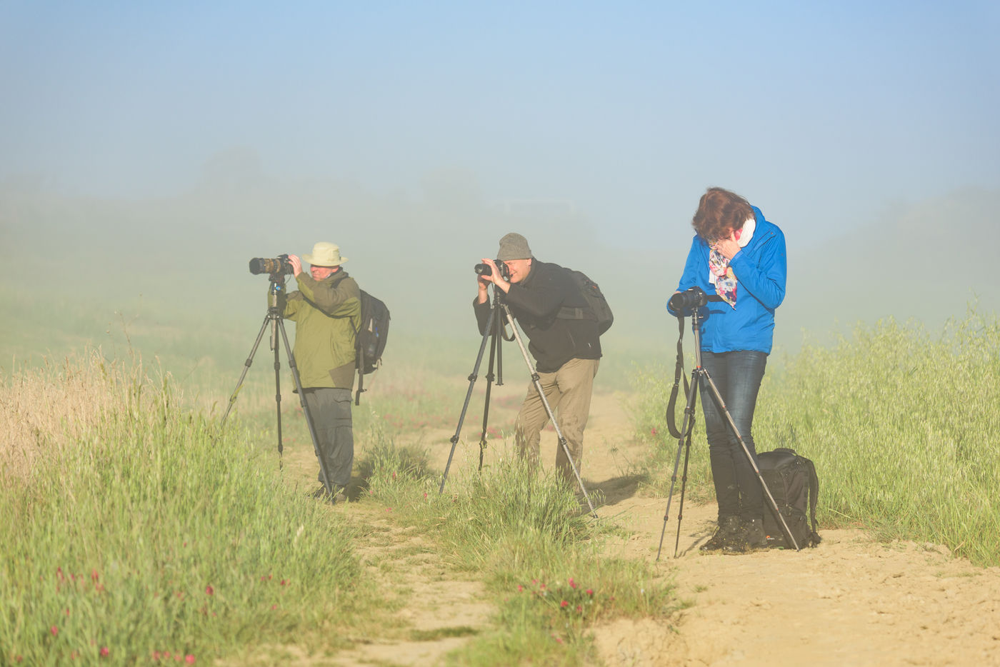 Fotografen in actie. © Bart Heirweg