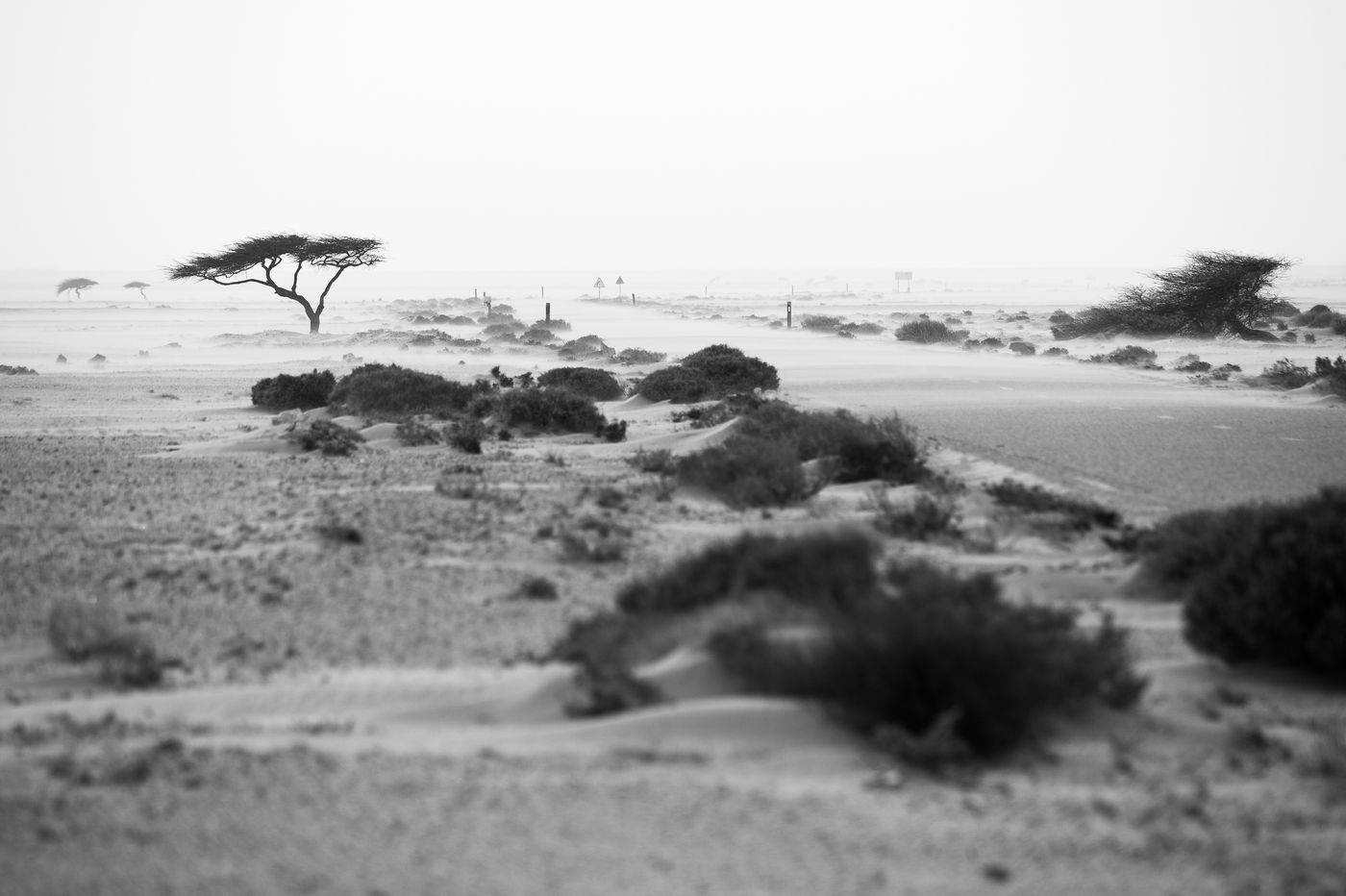 Zandstormen zijn erg algemeen en hebben het landschap door de eeuwen heen gevormd. © Billy Herman