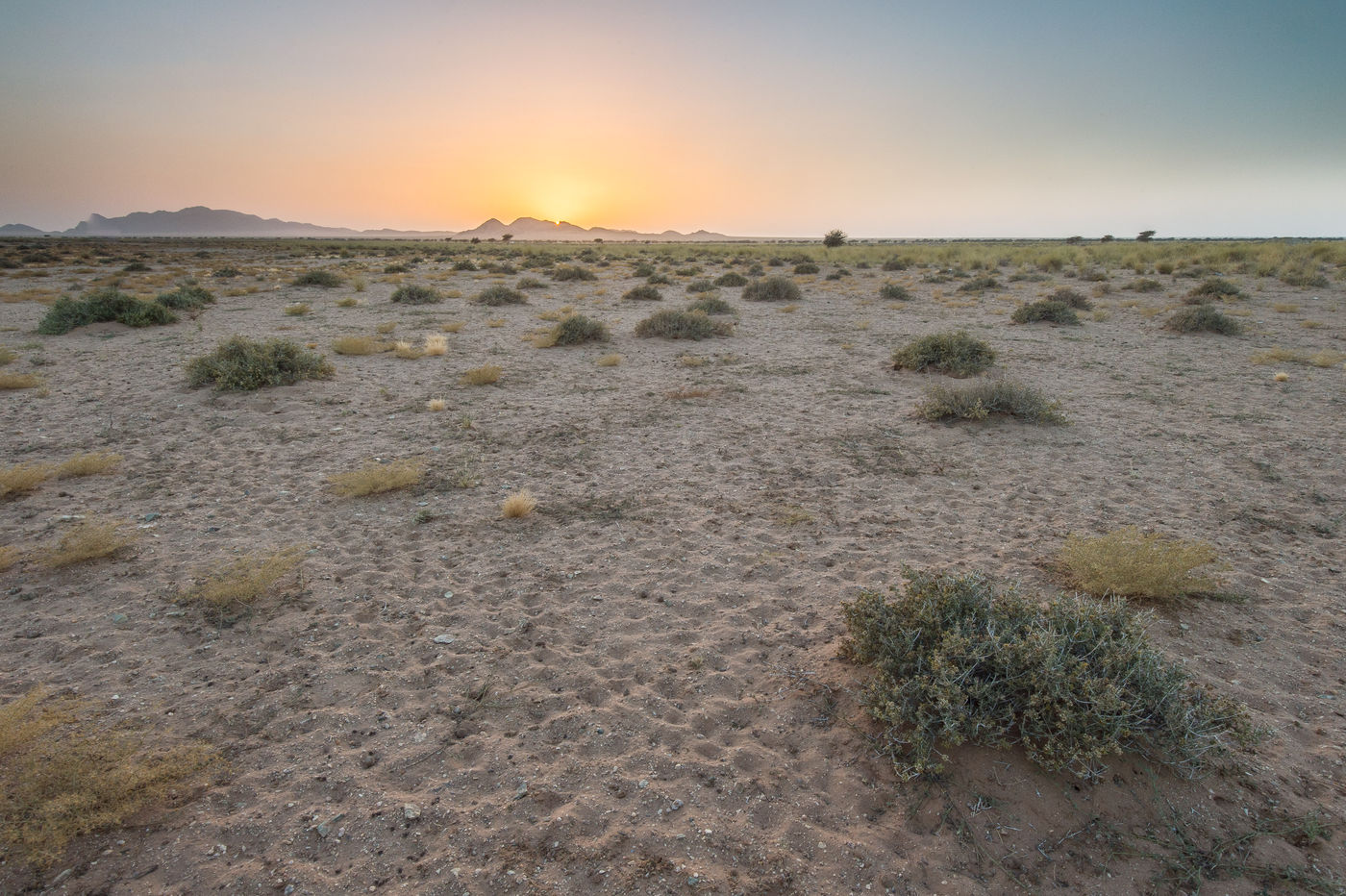 Een landschapsfoto van de woestijn. © Billy Herman