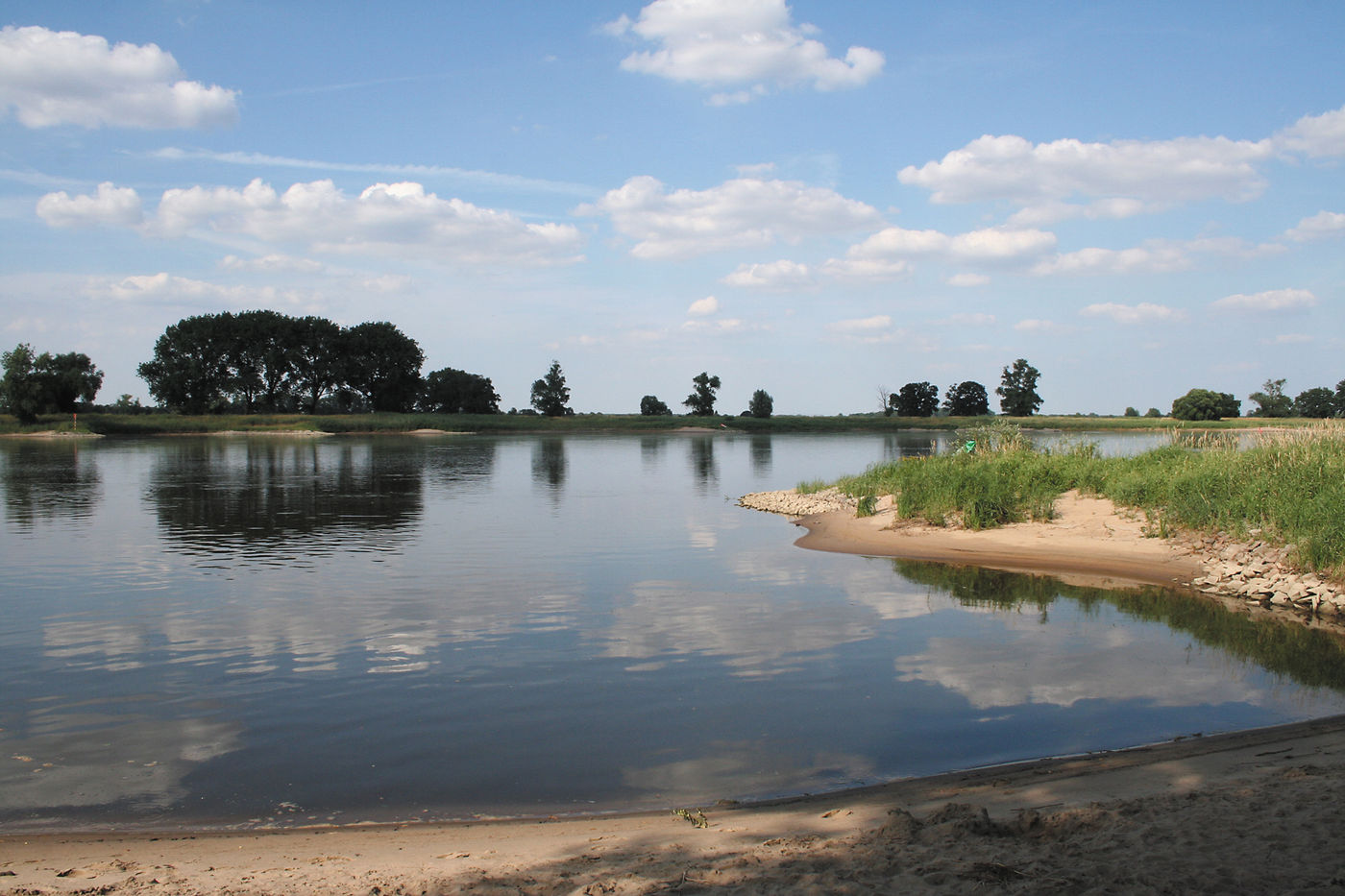 Tijdens hun tocht naar België zwommen Naya en August ongetwijfeld grote waterpartijen over. Best indrukwekkend om te zien! © Kenny Kenners