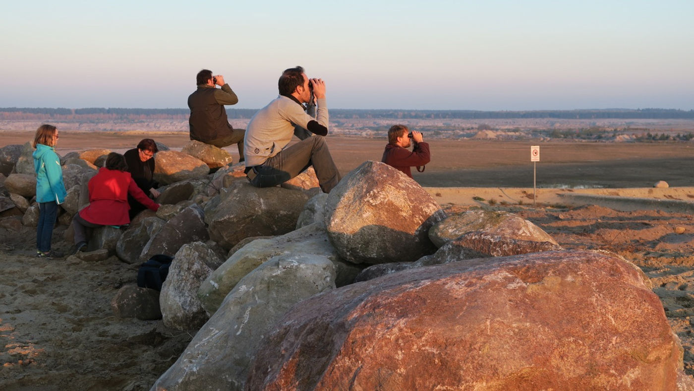 Samen scannen en speuren naar wolven. © Stephan Kaasche