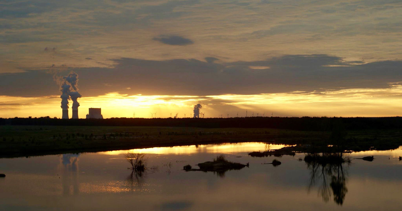 Ook al leeft de mens vlakbij, op dit grote heidegebied vonden wolven een nieuwe thuis. © Stephan Kaasche