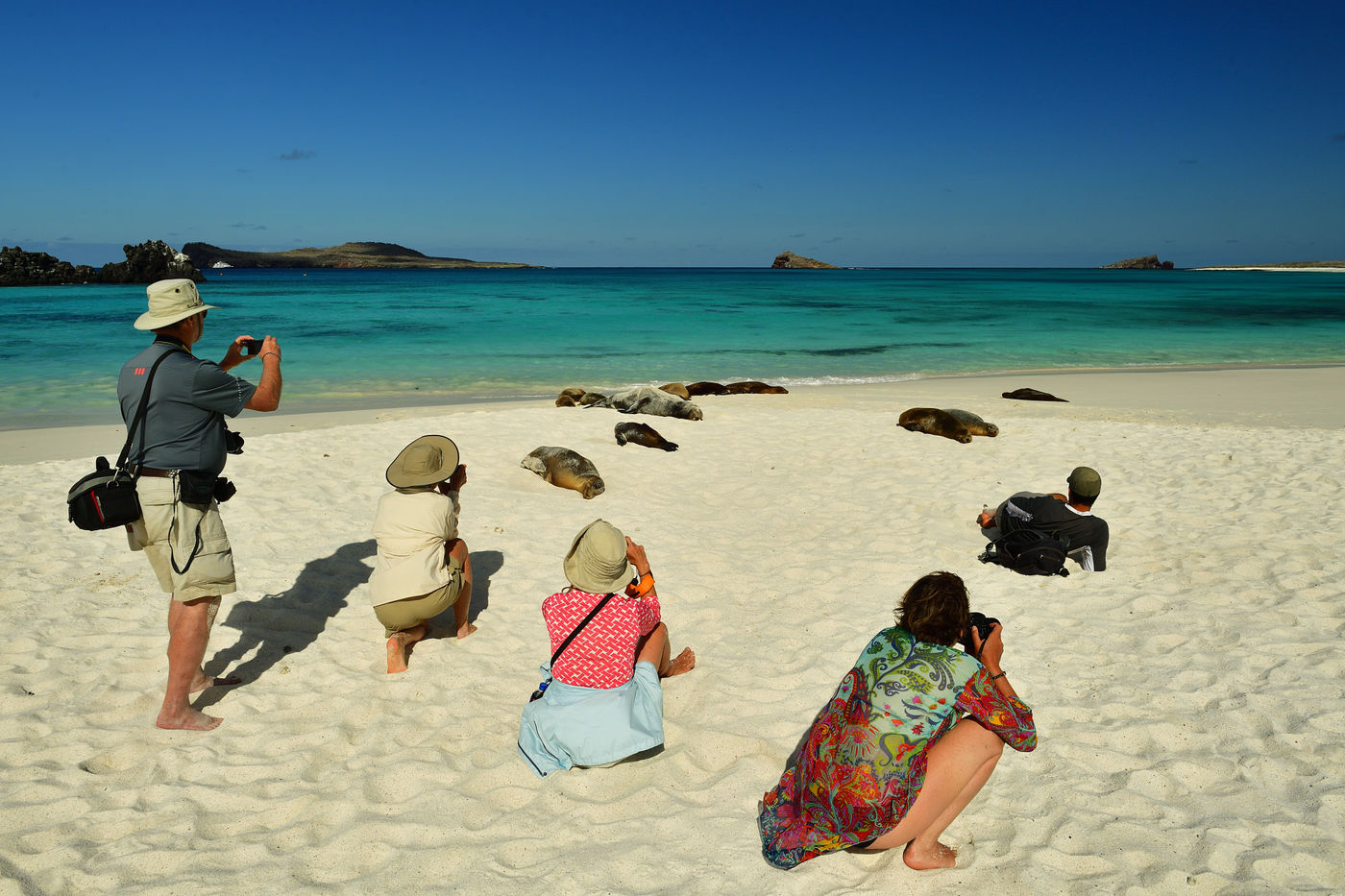 The Galapagos sea lions use the sand to enjoy the sun from a comfortable point of view. © Yves Adams