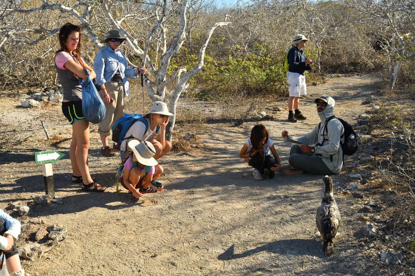 A lot of species don't recognize humans as a form of danger and therefore are extremely tame. © Yves Adams