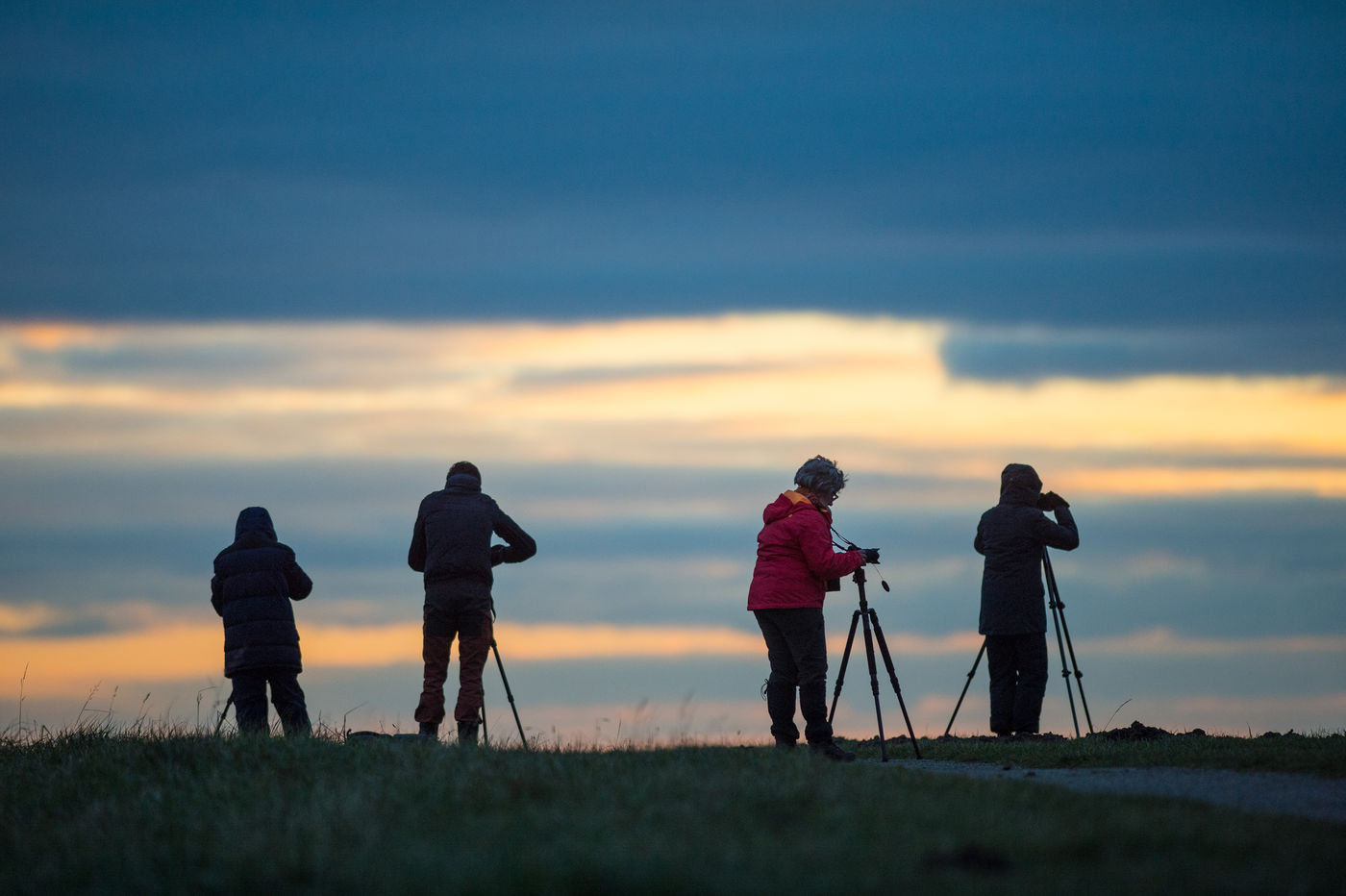 De groep van STARLING profiteert van het laatste streepje licht. © Billy Herman