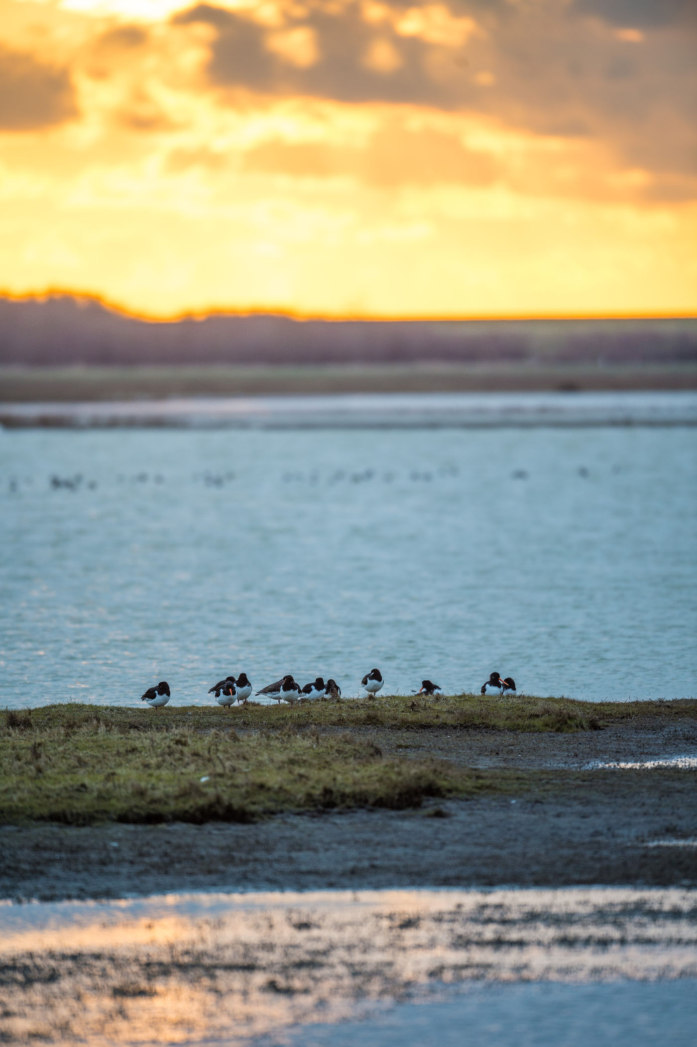 De zon gaan slapen boven de Zeeuwse polders... © Billy Herman