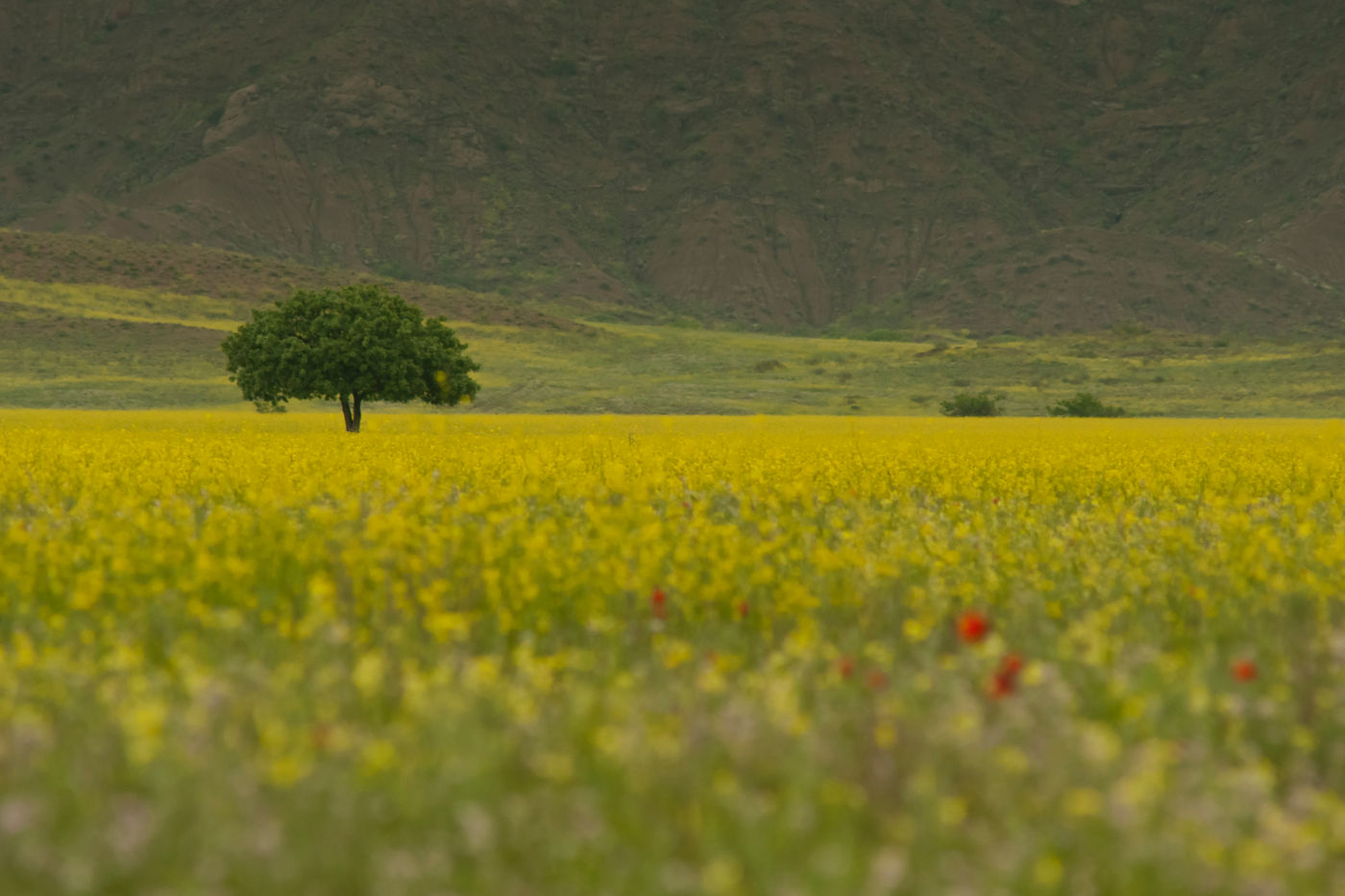 Sfeerbeeld van het landschap. © Brecht De Meulenaer