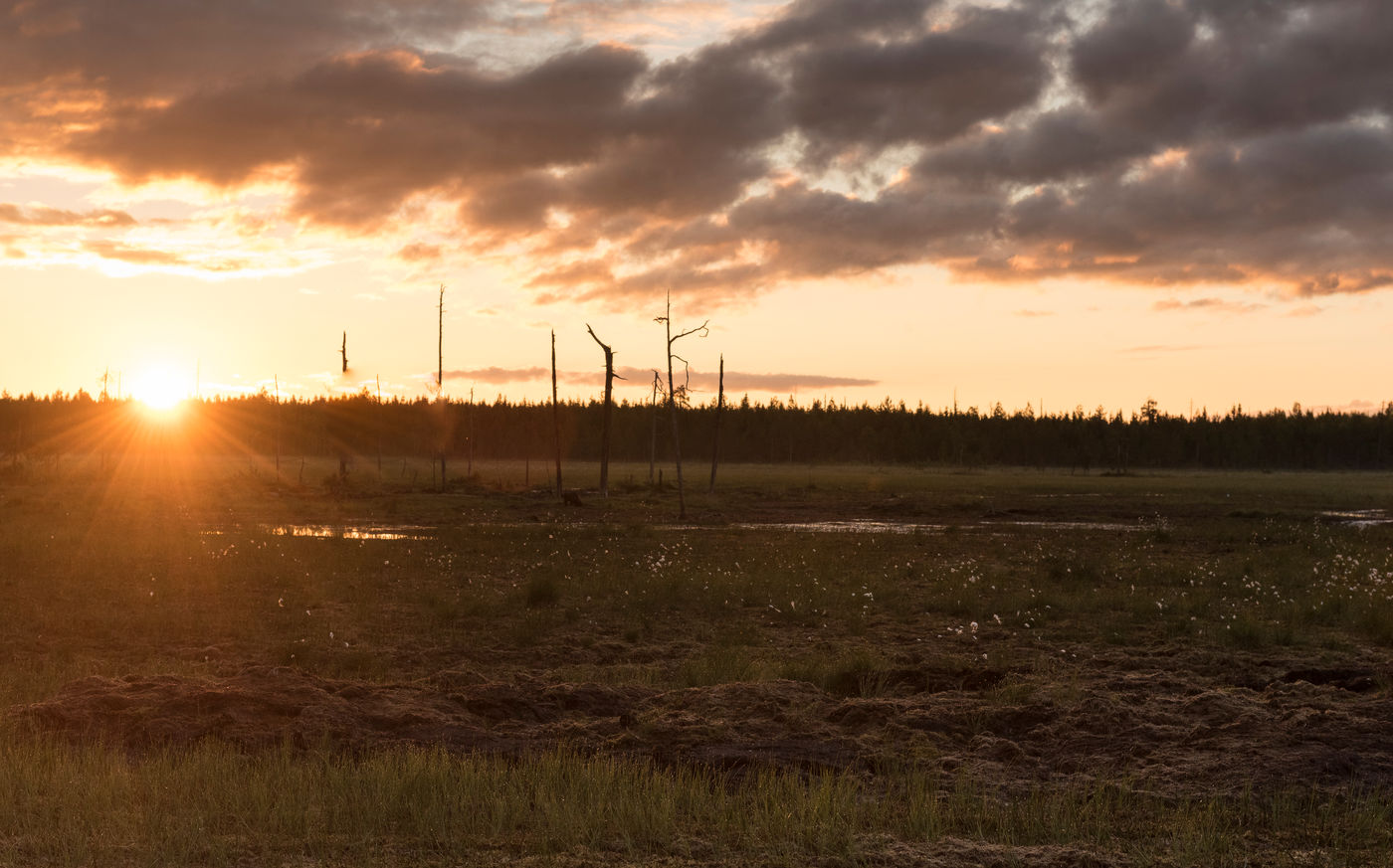 De ondergaande zon boven het hoogveen. © Brecht De Meulenaer