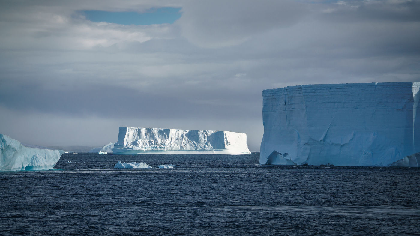 Une mer d'icebergs géants orne le paysage, Brown Bluff. © Oceanwide Expeditions