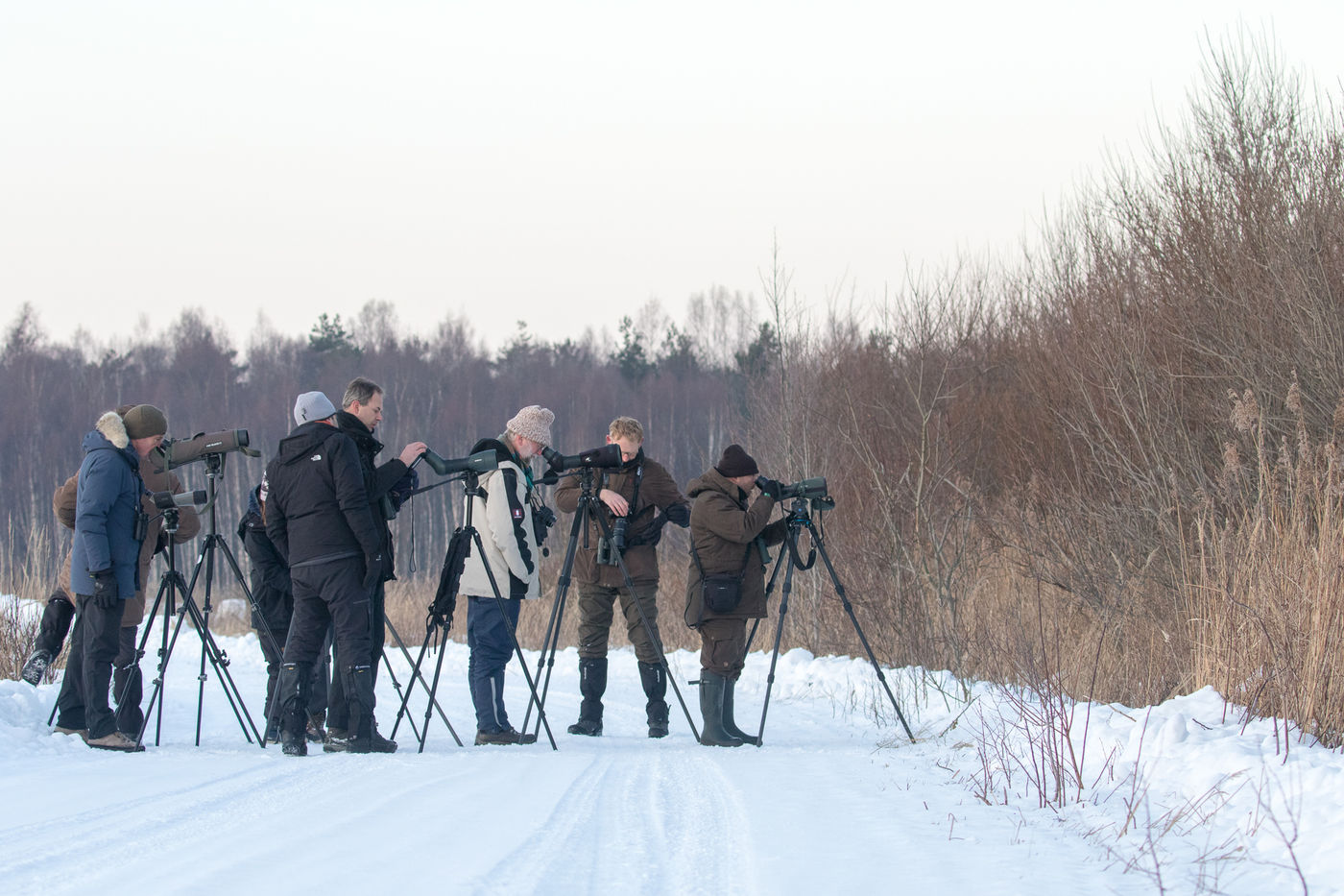 Groupe STARLING paré pour affronter le froid © Johannes Jansen