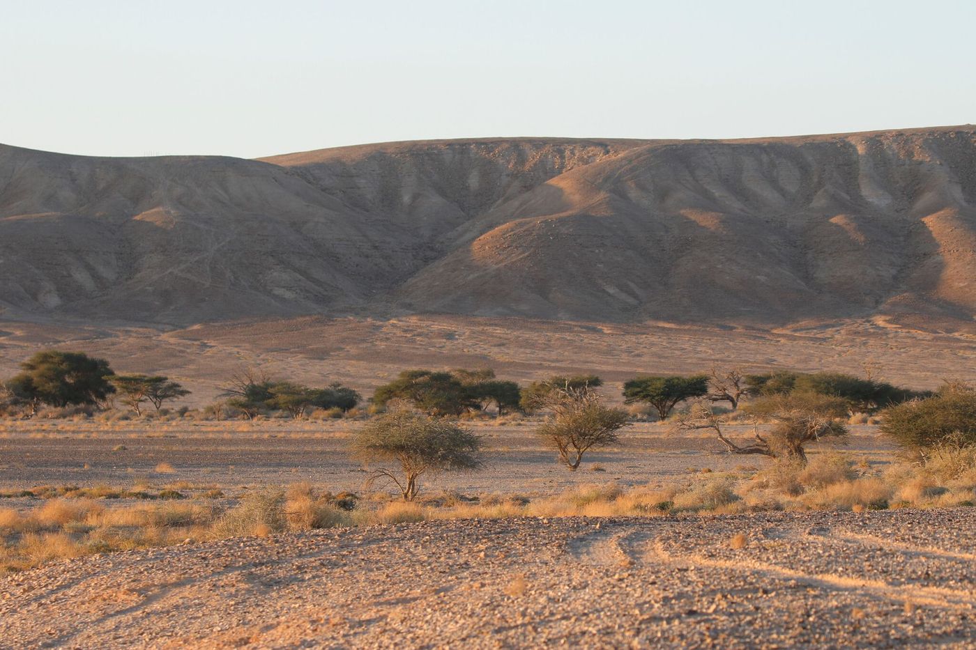 Une vue typique sur un petit wadi du sud d'Israël © Noé Terorde