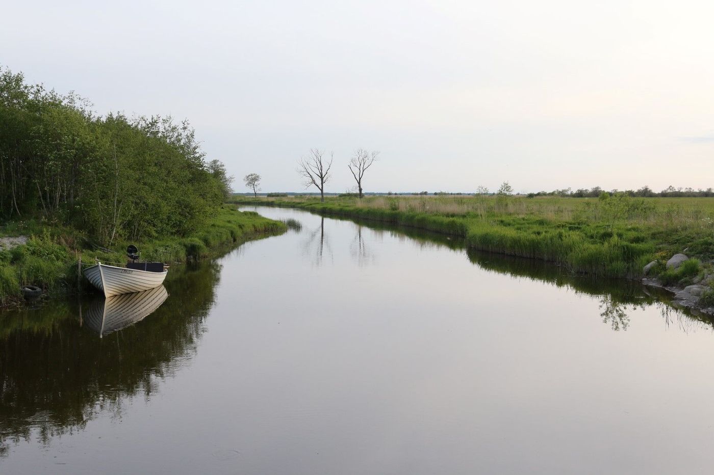 Excursion en bateau dans le Parc National Matsalu © Robin Vermylen