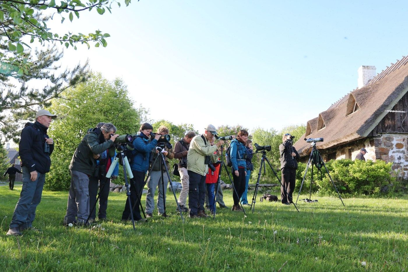 Ornithologie depuis le jardin © Robin Vermylen