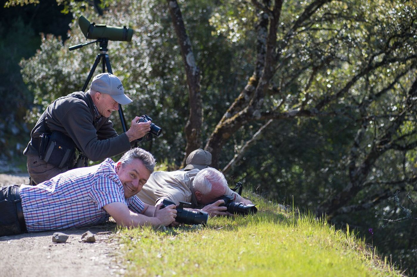unspecified-2 Photographes STARLING en action © Billy Herman