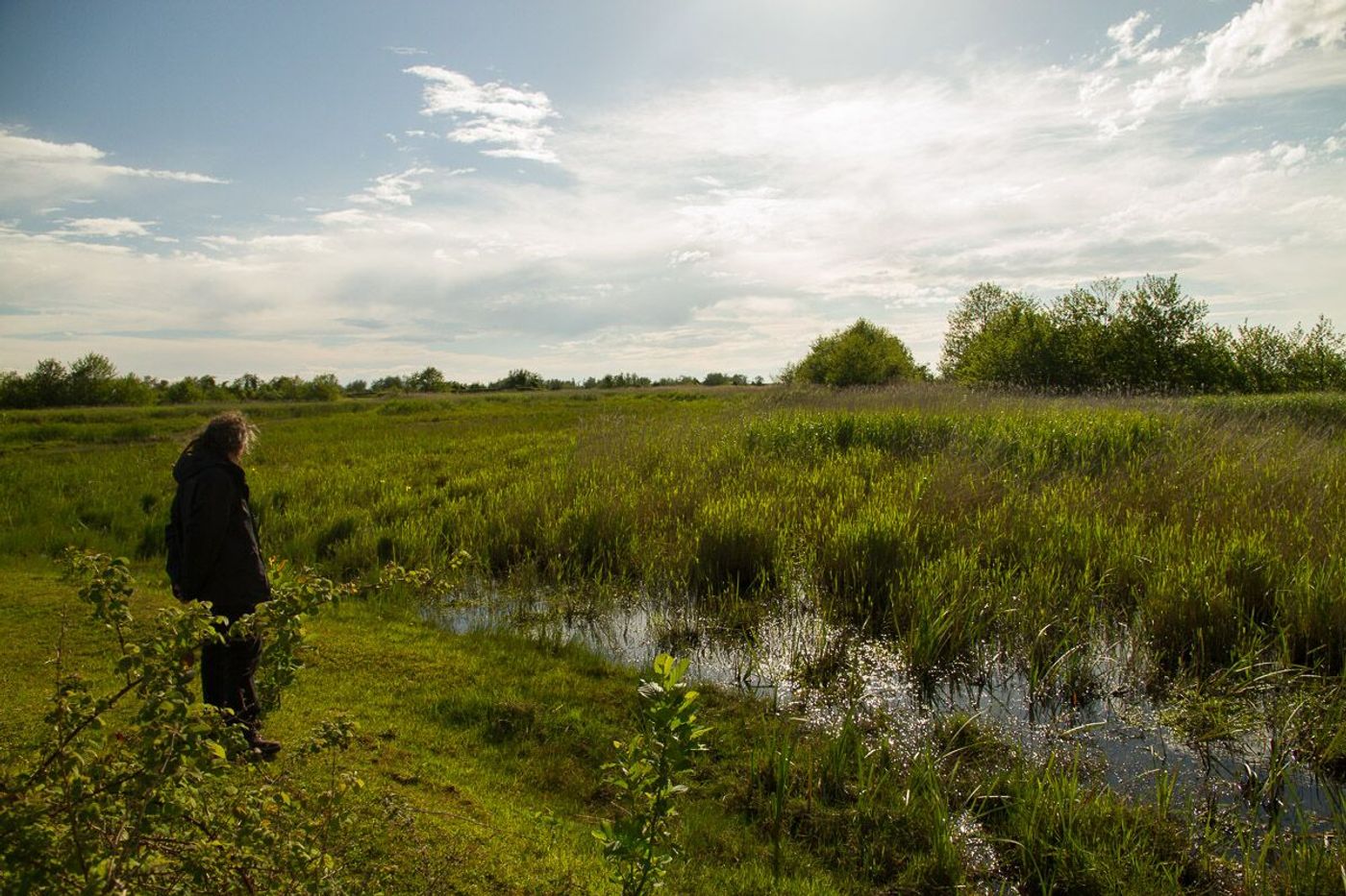 Dans le delta du Chorokhi © Johannes Jansen