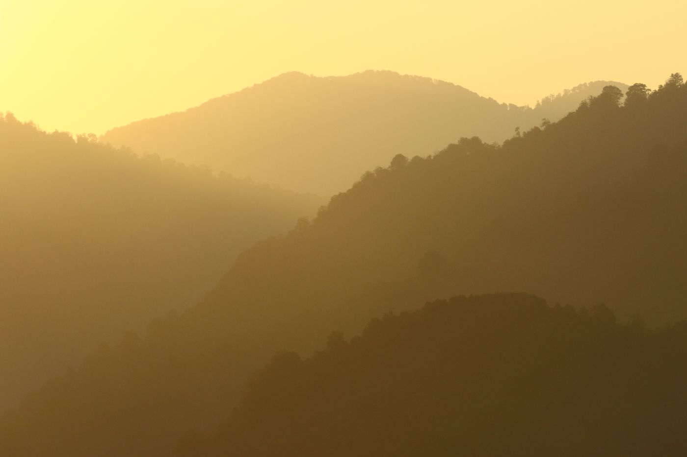 zonsopgang_Johannes-Jansen-Batumi-Georgie-roofvogel-workshop-STARLING-reizen-tours-A40A3700 © Johannes Jansen