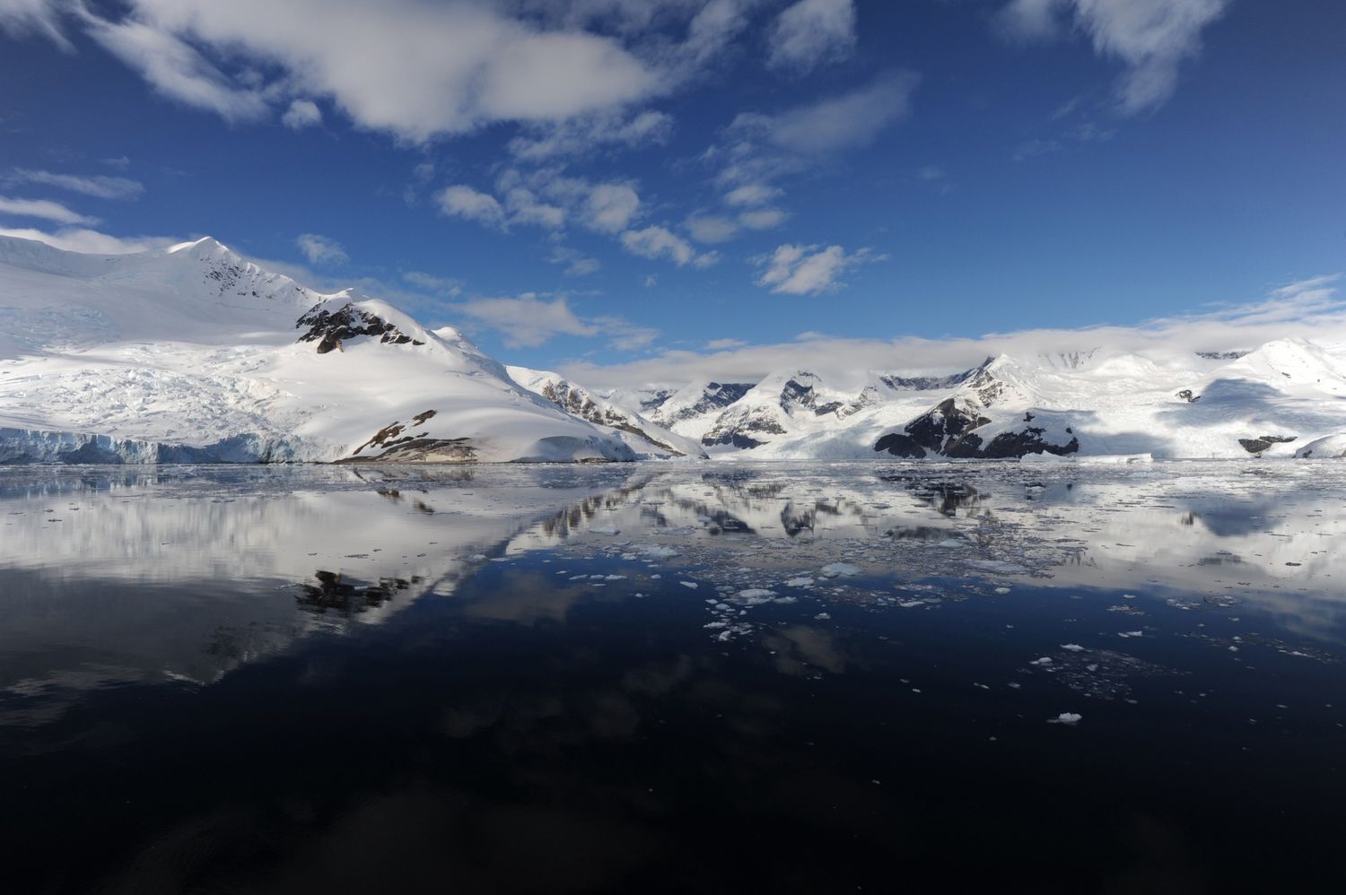 Beeld op de Weddell Sea. © Erwin Vermeulen