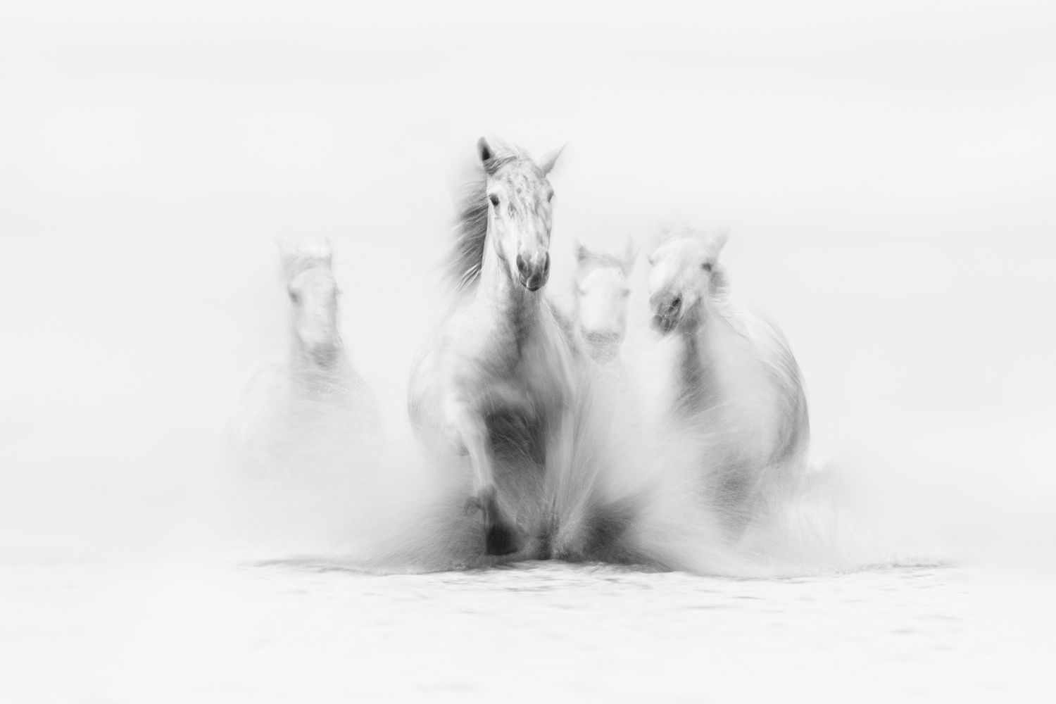 © Jeffrey Van Daele