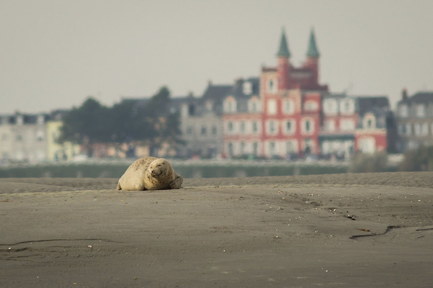 © Jef Pauwels