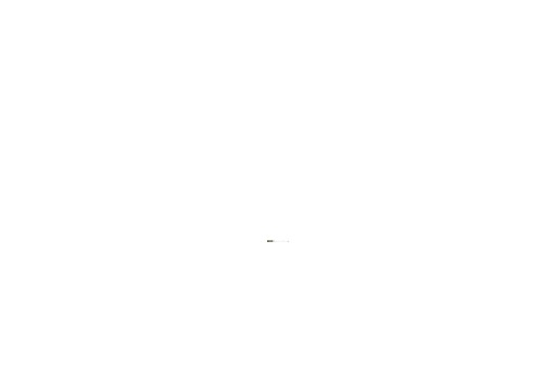 TAHUNHOKI