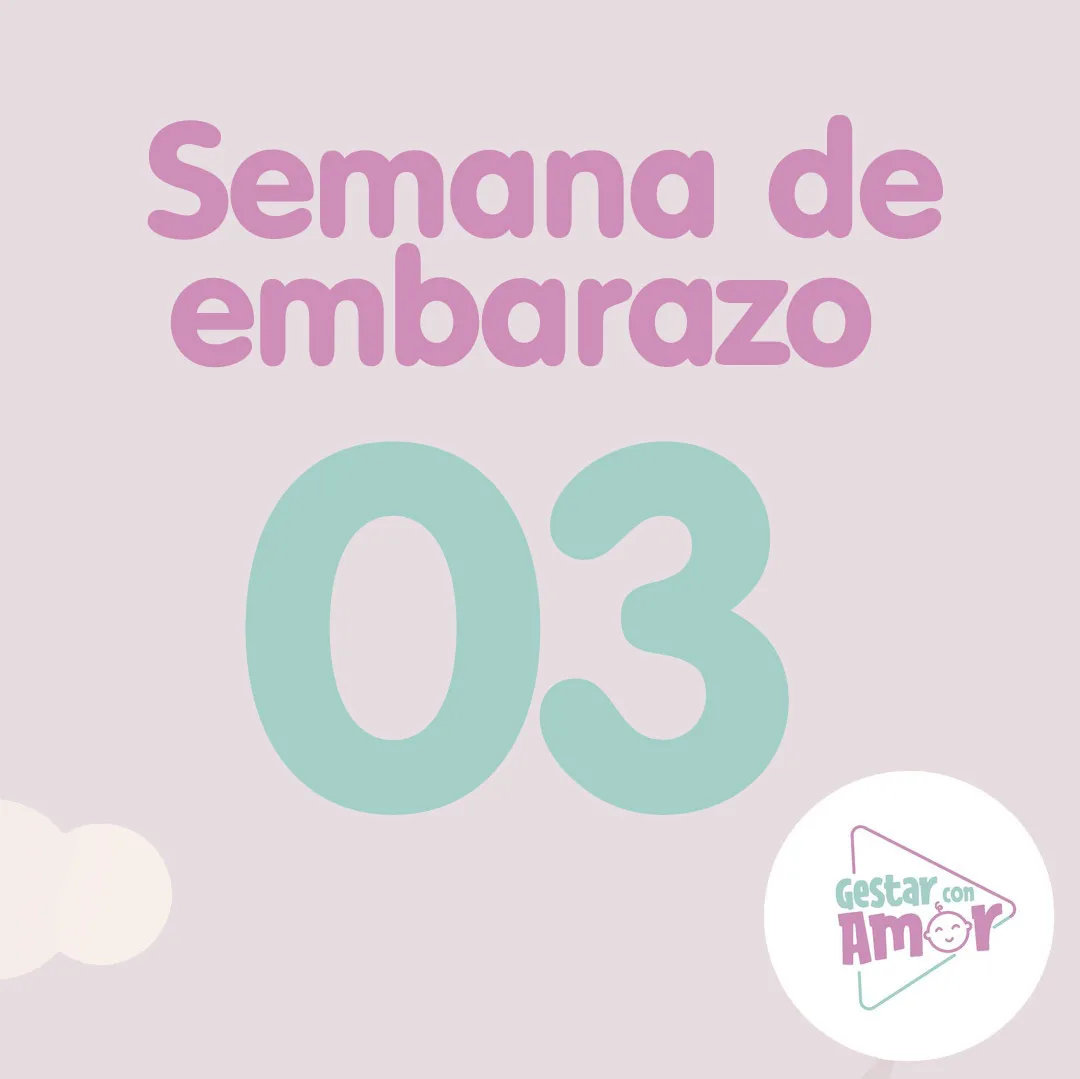 Embarazo semana a semana (Spanish Edition)