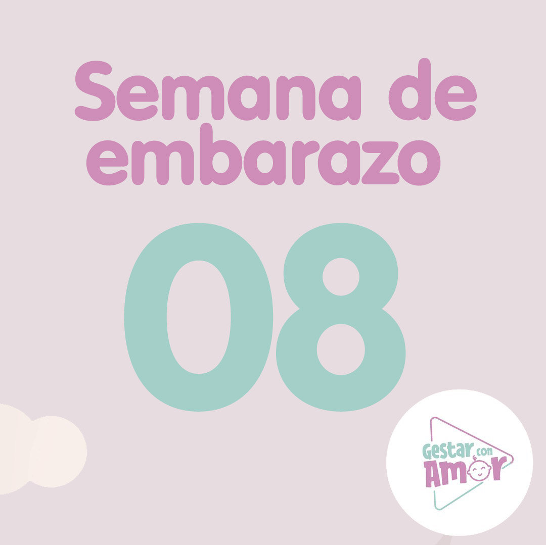 Semana 8 De Embarazo Gestar Con Amor Aprende Con Gestar Con Amor 