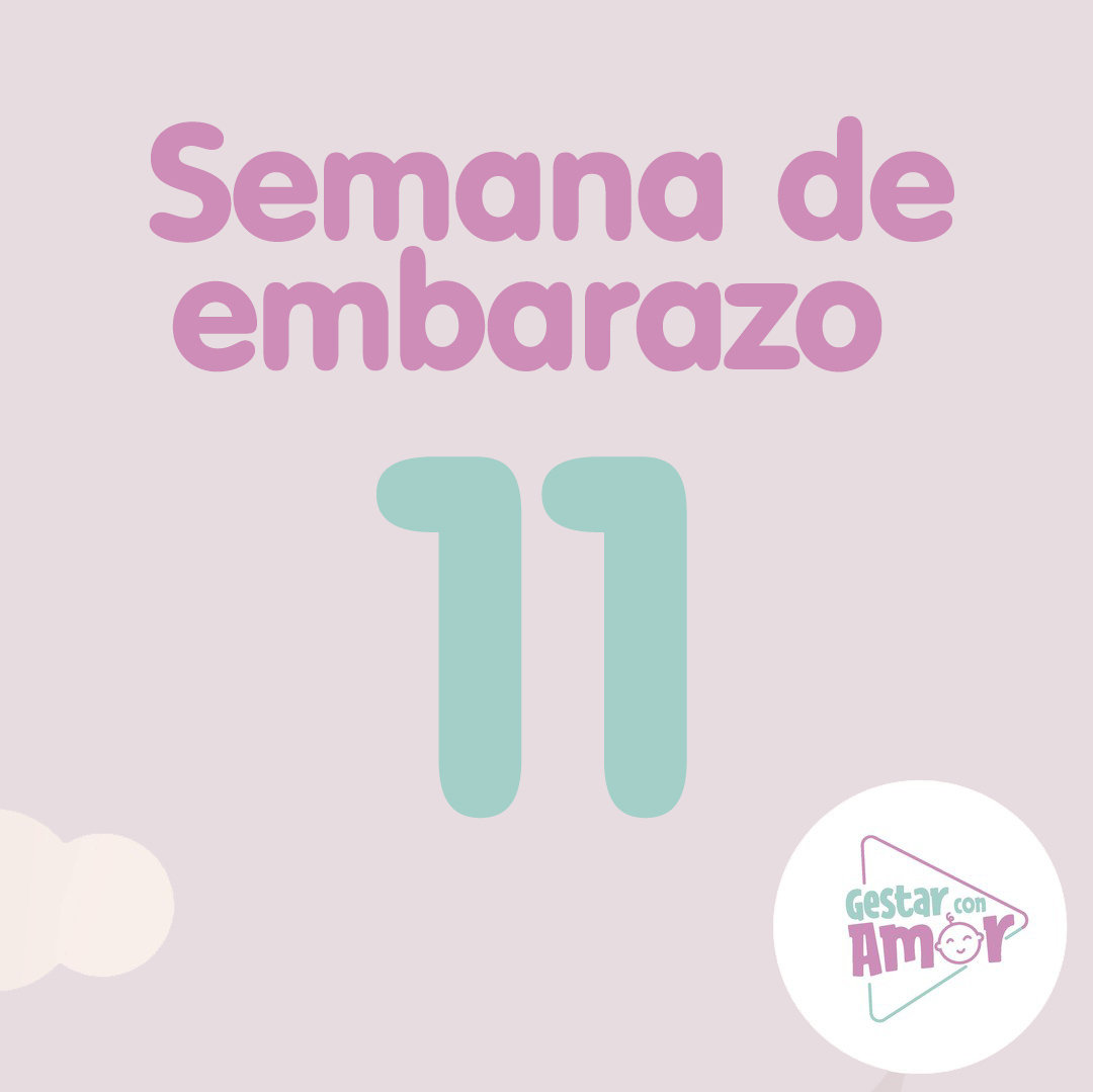 Semana 11 De Embarazo Aprende Con Gestar Con Amor 