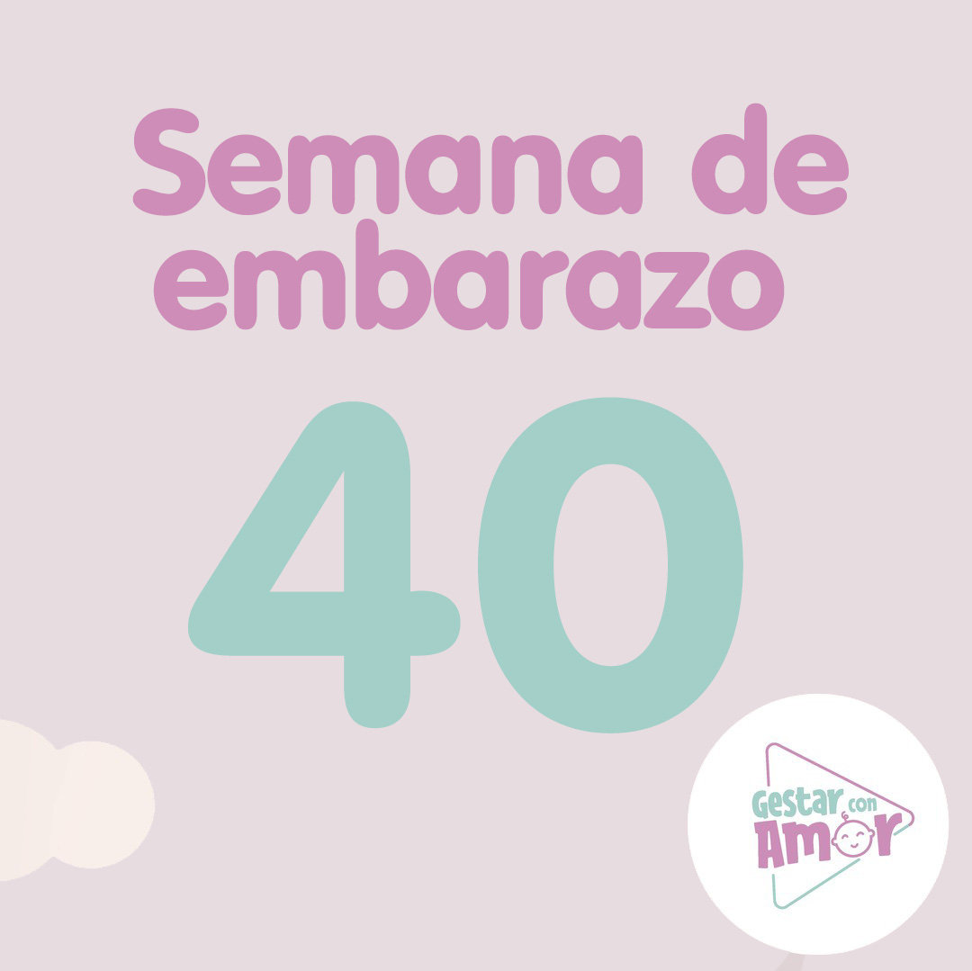 Semana 40 De Embarazo Aprende Con Gestar Con Amor 