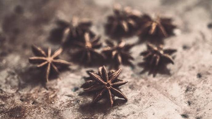 كتيب علاج ارتجاع المريء واليانسون