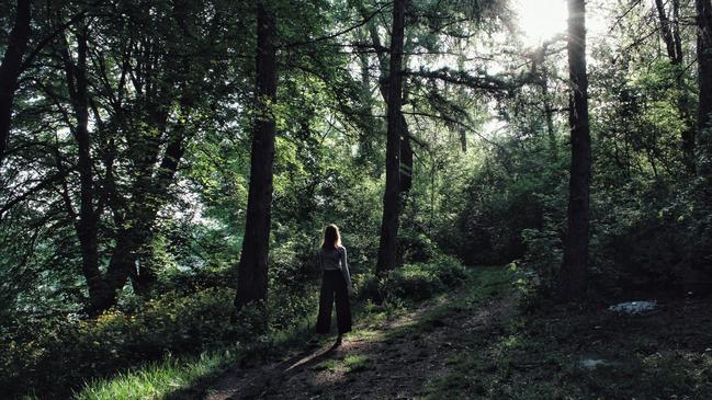 حوار عن تشجير فناء المدرسة كراسة