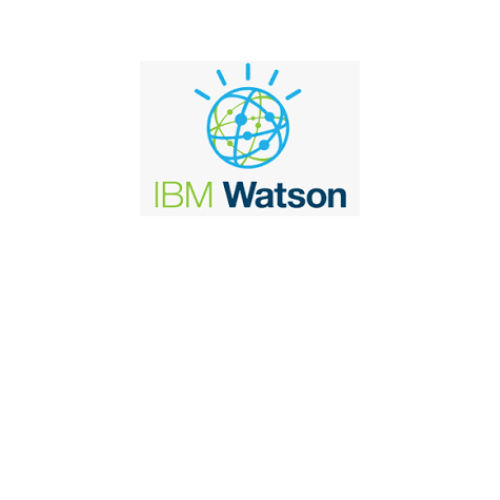 IBM Watson Interface