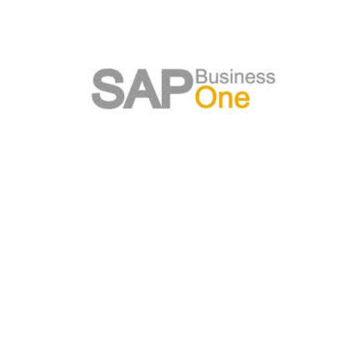 SAP Business One Interface