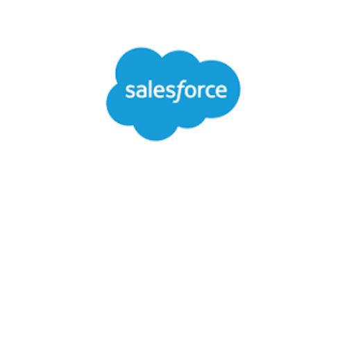 Salesforce Interface