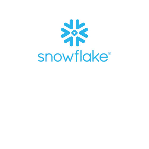 Snowflake Interface